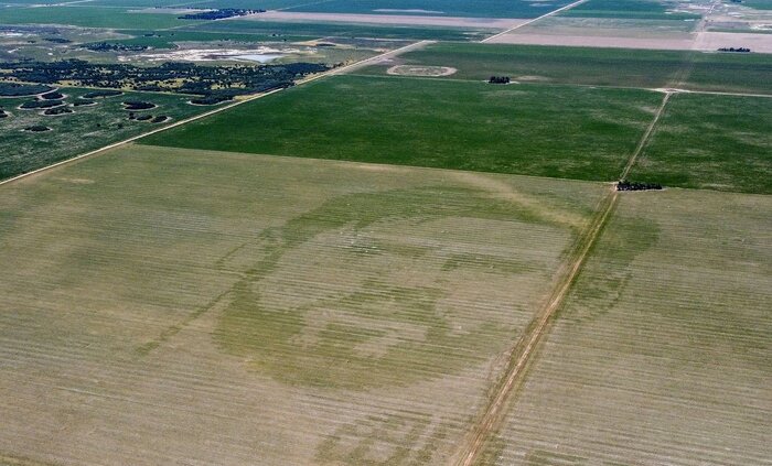 ادای احترام کشاورز آرژانتینی به کاپیتان؛ تتوی ۱۲۴هکتاری مسی روی مزرعه ذرت+ عکس