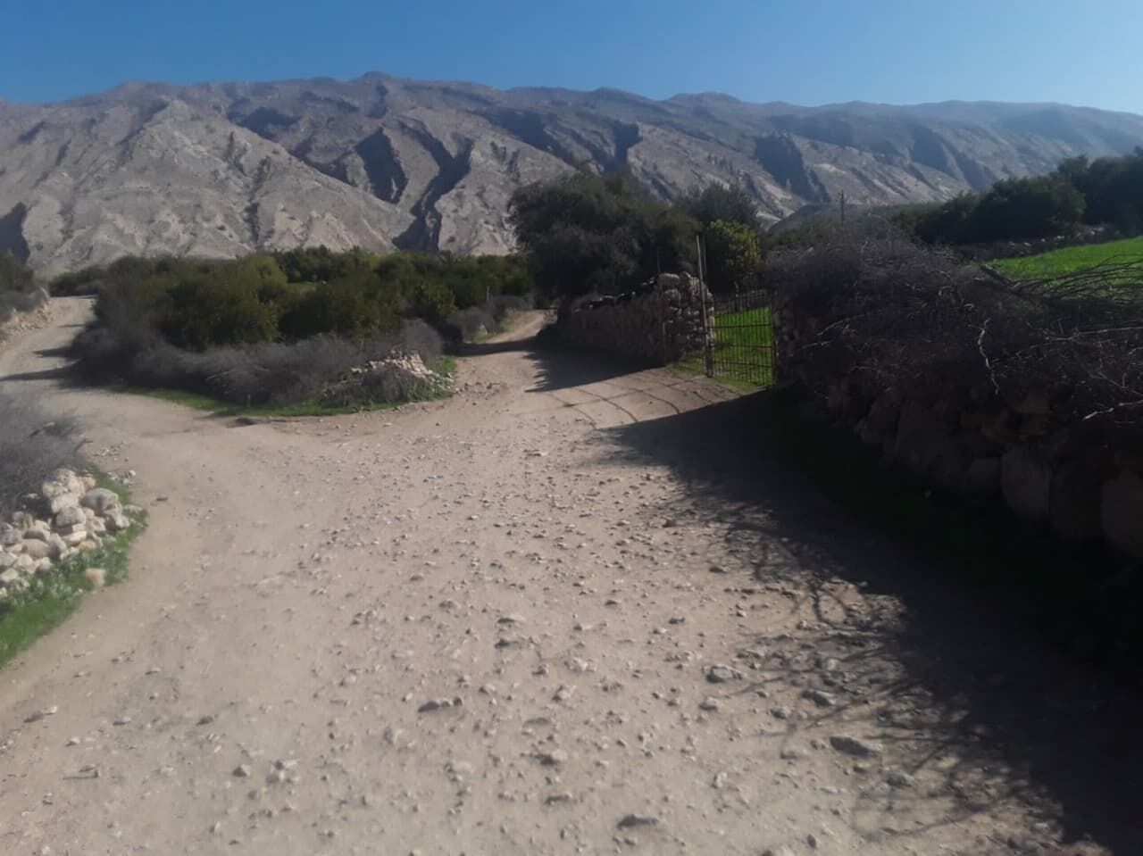 ضرورت بهسازی جاده بین مزارع روستای آبتوت در گچساران ضرورت بهسازی جاده بین مزارع روستای آبتوت در گچساران