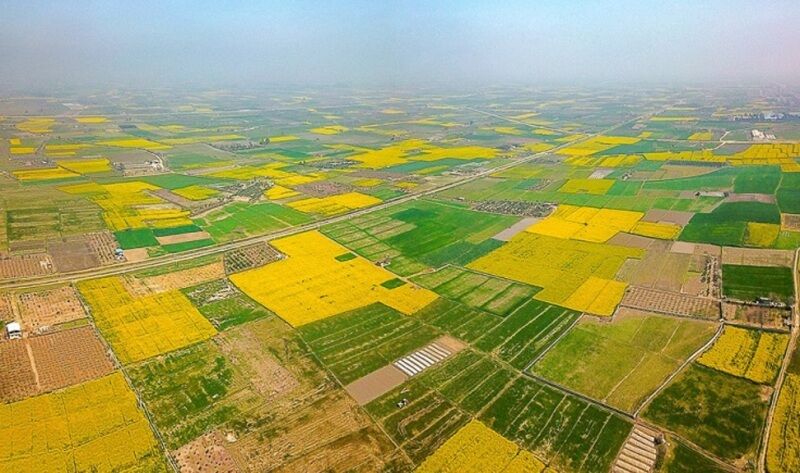 خرده مالکی چالش کشاورزی مبتنی بر قنات در خراسان رضوی است