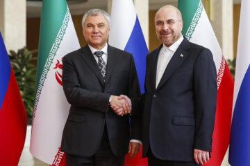 Rencontre entre le président du Parlement iranien et le président de la Douma d'Etat à Téhéran 