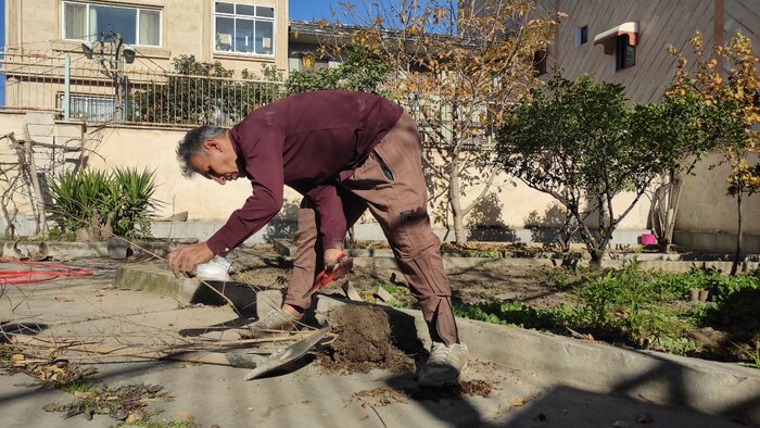 ایرنا پیشگام کاشت درخت میوه در ادارات گلستان