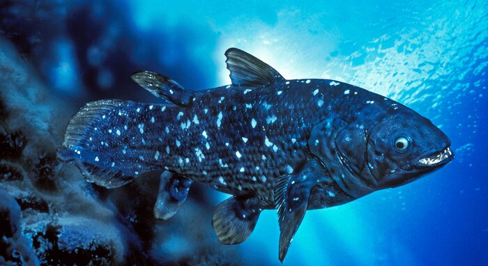 دانشمندان یک گام به تولید اندامهای مصنوعی نزدیکتر شدند