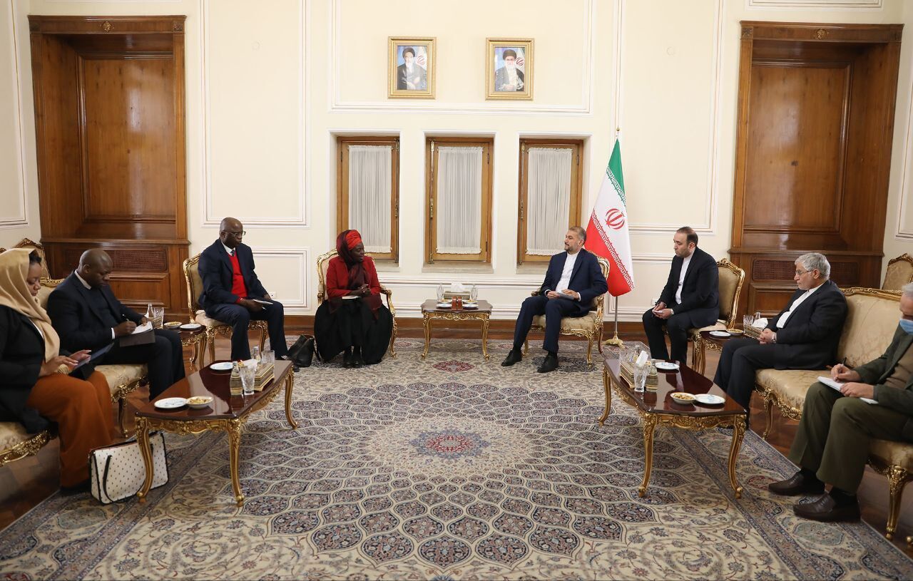 Iran FM meets with African delegation in Tehran