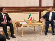 Pakistani, Iranian FMs meet in Tashkent