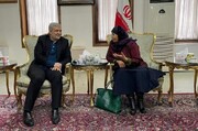 Envoy urges UN to cooperate with Iran in serving Afghan refugees