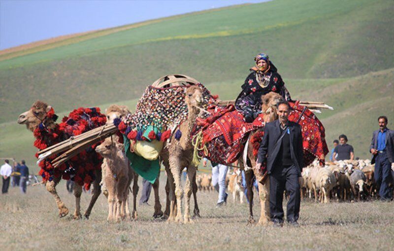 آغاز کوچ بهاره ۱۱ هزار و ۲۰۰ خانوار عشایری لرستان