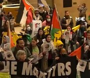 Viele Menschen versammelten sich in 30 europäischen und nordamerikanischen Städten zur Unterstützung palästinensischer Gefangener