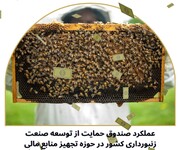 ۸۲ میلیارد ریال تسهیلات به زنبورداران کشور پرداخت شد 