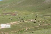 بیش از ۲۰ پرونده اعتراض به ممیزی مراتع در استان مرکزی بررسی شد