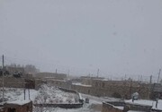 بیشترین برف خراسان جنوبی در قدمگاه نهبندان بارید + فیلم