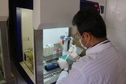 آزمایشگاه تشخیص بیماری ویروسی آنگارا در کردستان راه‌اندازی شد