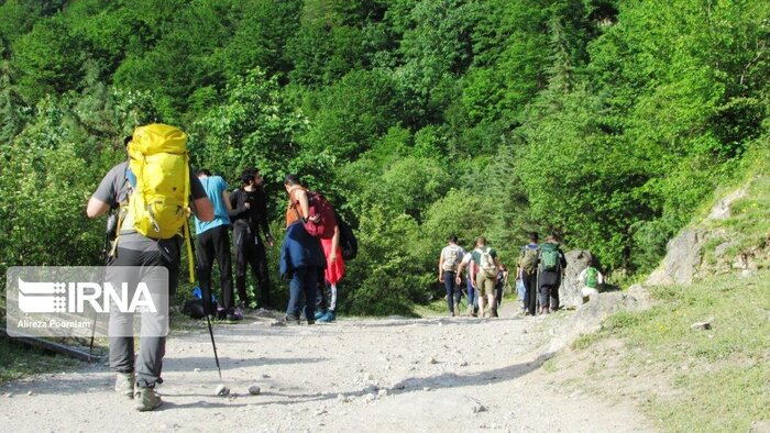 جنگل های شمال سالها درانتظار تهیه اطلس طبیعتگردی؛ از درآمدزایی تا توسعه گردشگری