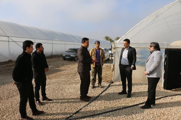 آبهای شور؛ مسیری جدید برای اشتغال جوانان روستایی استان بوشهر