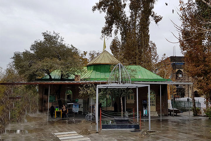 تقدیر این باغ بود تا پاخور زائران شود