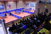 نفرات برتر مسابقات پینگ پنگ نوجوانان کشور در فارس شناخته شدند