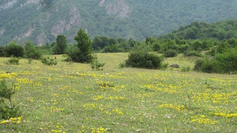 بهترین مسیرهای طبیعت گردی ایران