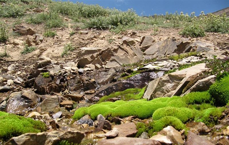 بهترین مسیرهای طبیعت گردی ایران