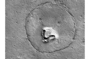 خرس عروسکی و خندان مریخ با صورتی ۲ هزار متری