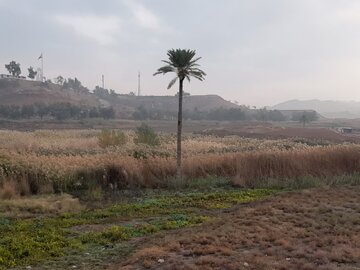 سرعت وزش باد در قصرشیرین به ۴۳ کیلومتر بر ساعت رسید