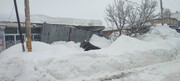 فیلم / خسارت برف در کوهرنگ