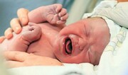 کاهش ۵.۸ درصدی آمار ولادت در استان قزوین