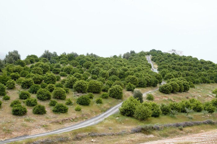 رویای بازگشت رونق زندگی به روستای تاریخی «نیمدور» در باشت محقق میشود؟
