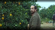 «جنگل پرتقال» از منظر پرداختن به تنوع اقلیمی فیلمی حائز اهمیت است 