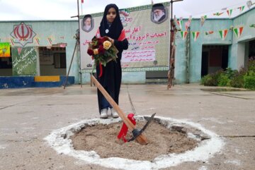 همه مدارس تخریبی تنگستان تا سه سال آینده نوسازی می‌شود