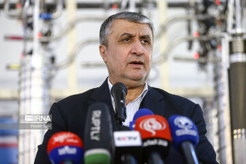 Le chef du nucléaire iranien déplore le rapport "incorrect" de l'AIEA sur la centrale de Fordow