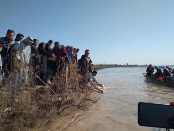 رهاسازی ۴۰۰ هزار قطعه ماهی در تالاب محلی روستای عطیش شهرستان کارون 