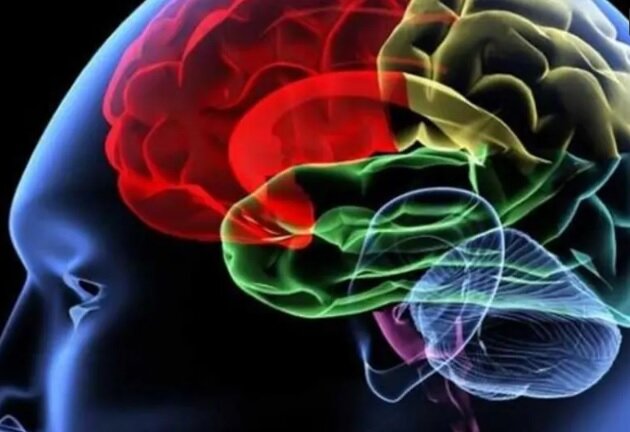 ابزار جدیدی برای تشخیص تومور مغزی در بیماران ساخته شد