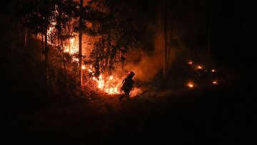 افزایش قربانیان آتش‌سوزی در شیلی به ۲۳ نفر؛ هراس از تکرار فاجعه ۲۰۱۷