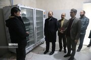 معاون وزیر کار از ۲ واحد تولیدی در خراسان‌شمالی بازدید کرد 