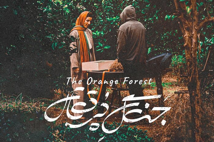 «حادثه، طنز و ملودرام»؛ نقل محفل پاتوق فرهنگی امروز مازنیها