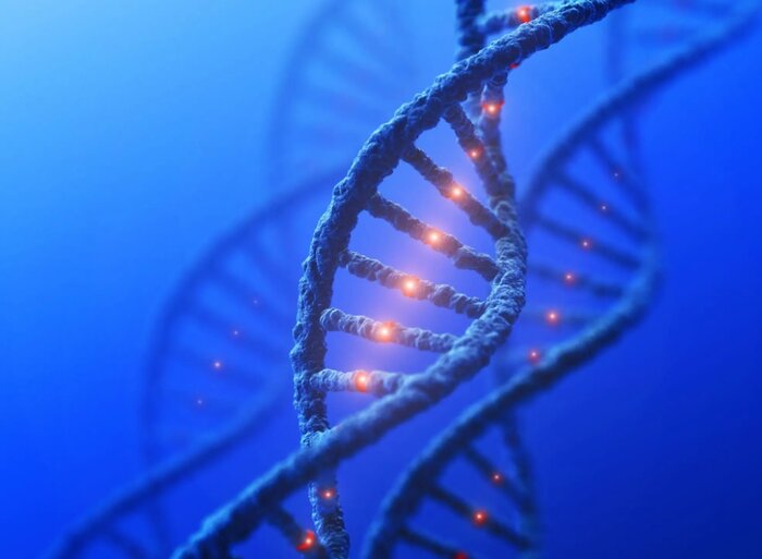 دانشمندان یک باکتری را با مهندسی ژنتیک در برابر همه ویروسها مقاوم کردند 1 دانشمندان یک باکتری را با مهندسی ژنتیک در برابر همه ویروسها مقاوم کردند