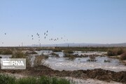 احیای تالاب بندعلی‌خان پس از ۱۳ سال/افتتاح سه طرح عمرانی و خدماتی در مناطق عشایری استان تهران