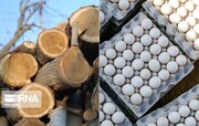 حدود ۶ تن تخم‌مرغ و چوب قاچاق در شرق استان سمنان کشف شد