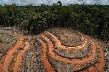 تهدید جنگل‌زدایی، فرسایش خاک و کمبود آب بر سر آمریکای لاتین