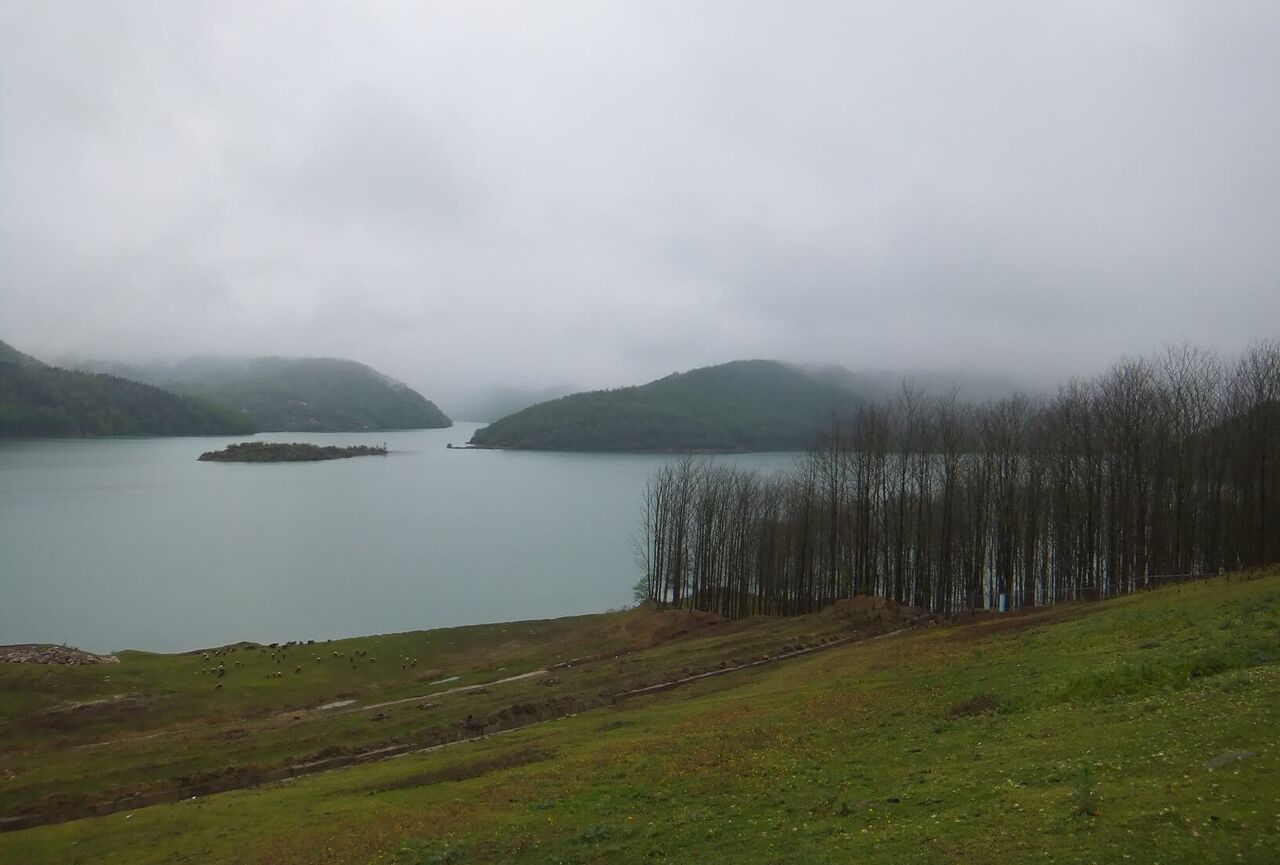 دریاچه لفور سوادکوه؛ دریاچه‌ای در آغوش جنگل