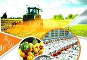 رشد فزایند تولیدات کشاورزی چهارمحال و بختیاری پس از انقلاب