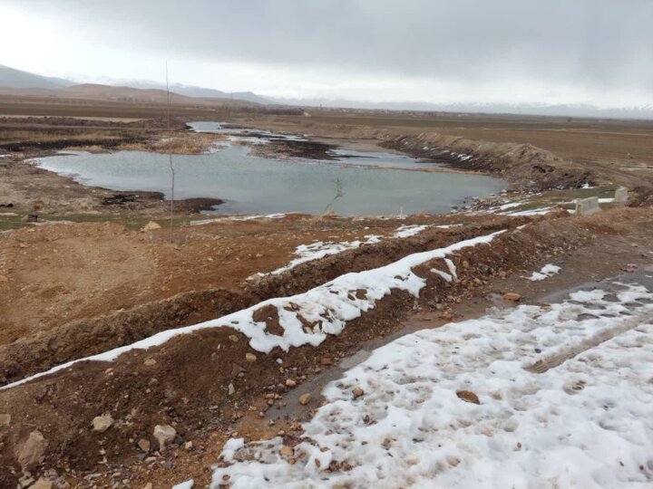 پیرسلمان جانی دوباره گرفت