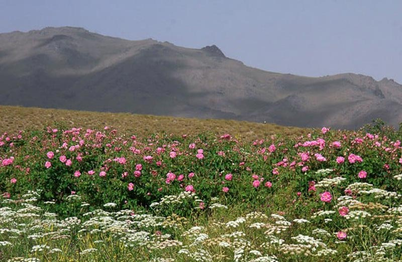 با دیدنی‌های اطراف کرمان آشنا شوید