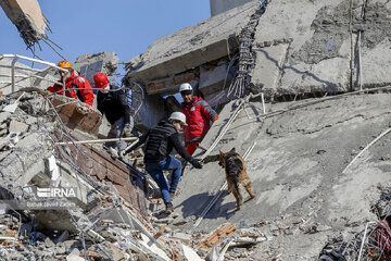 La Media Luna Roja sigue realizando las operaciones de ayuda en Turquía