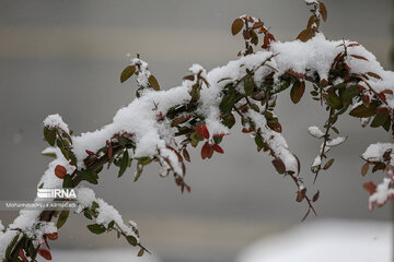 هواشناسی اردبیل به بارش باران و برف در اردبیل هشدار داد