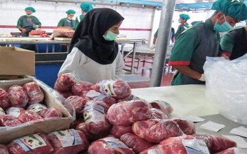۵۲۶ تن گوشت قرمز منجمد در کرمانشاه توزیع شد