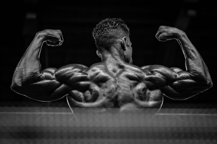 رضا لک: کنترل دوپینگ در بدنسازی وجود ندارد/ باید انحصار IFBB در فدراسیون ایران شکسته شود