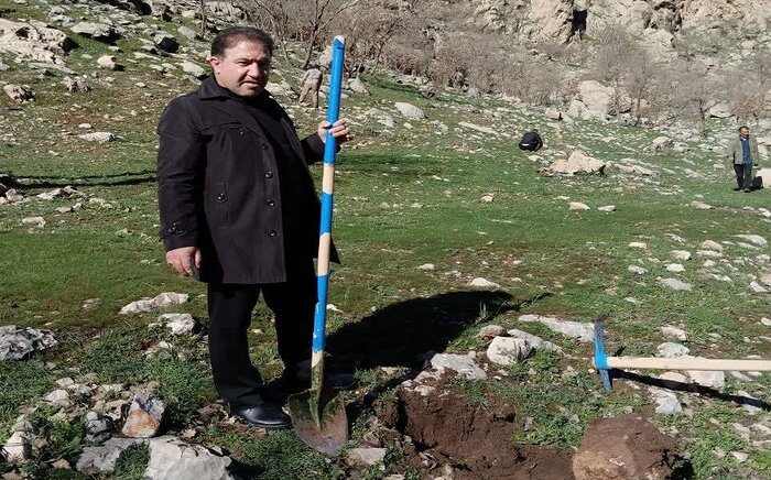 نهال کاری در ۱۰ هکتار از اراضی ملی دشتک دیل گچساران انجام شد