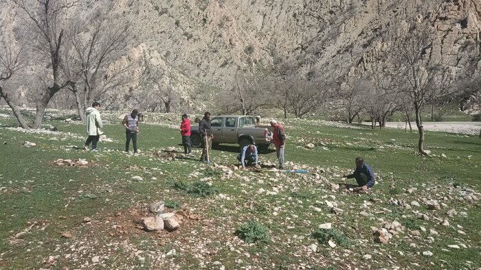  نهال کاری در ۱۰ هکتار از اراضی ملی دشتک دیل گچساران انجام شد