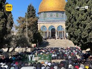 مسجد اقصیٰ کی نماز جمعہ میں 80 ہزار افراد کی شرکت کے مناظر
