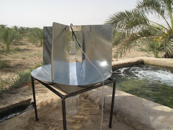 سوسک چوبخوار؛ خوره جان نخیلات بوشهر